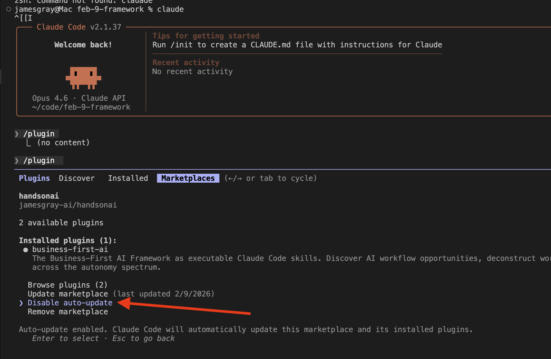 Plugin manager showing the Marketplaces tab with the handsonai marketplace selected and the auto-update option highlighted